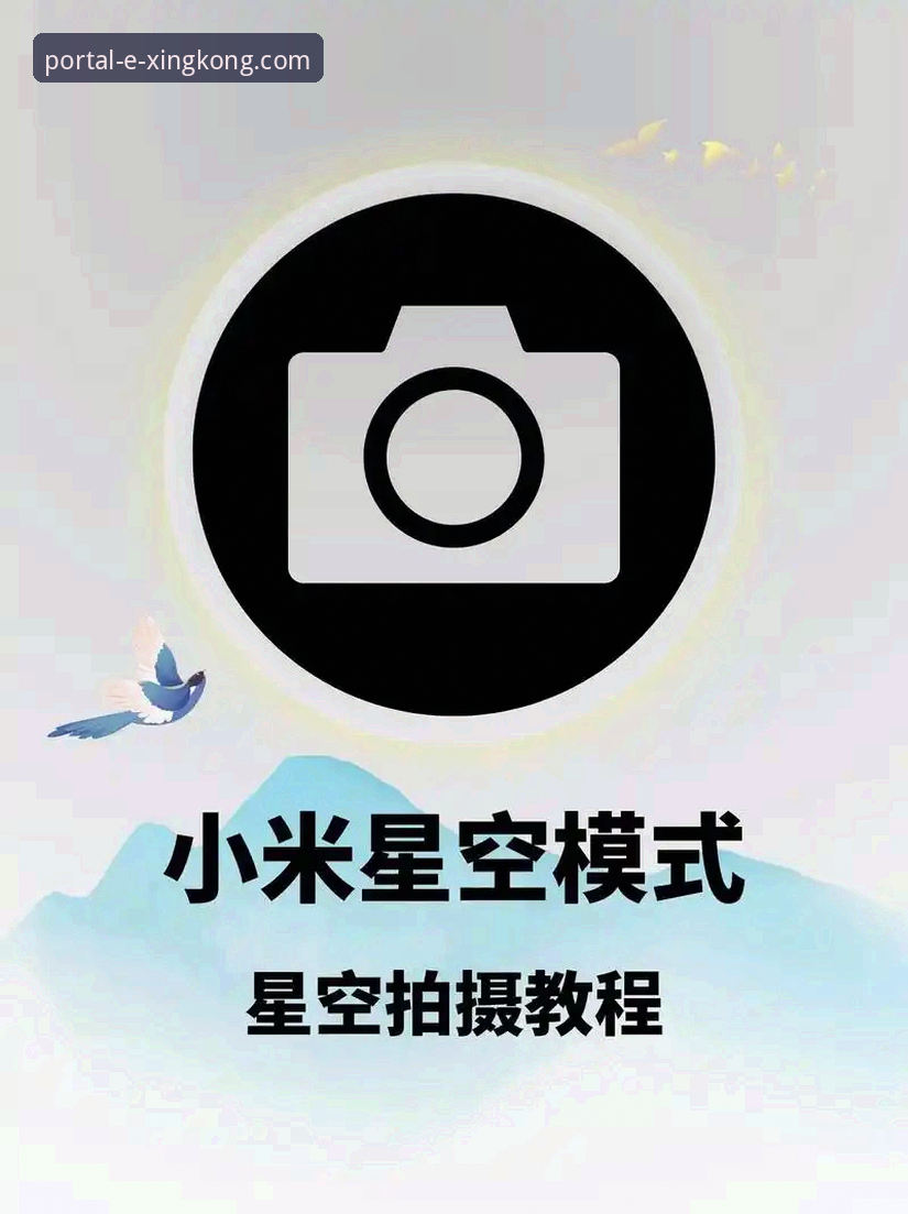 如何高效使用星空入口平台？一份详尽的官方使用教程