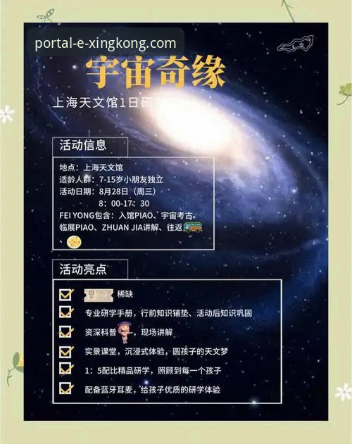 星空入口电脑版 vs 手机版：资深用户深度体验与选择指南